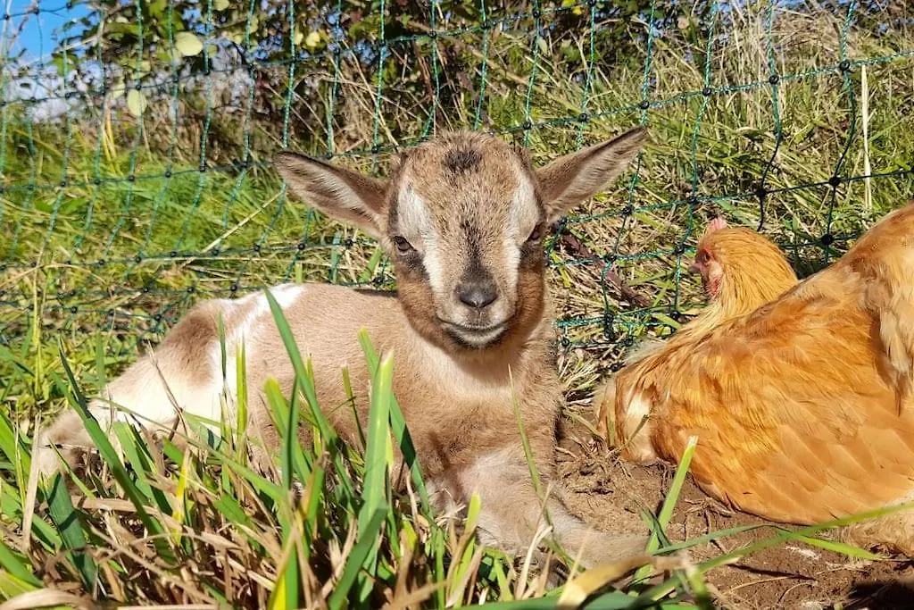 Gite De La Croix De Fenelon Masclat 0*,  Frankreich